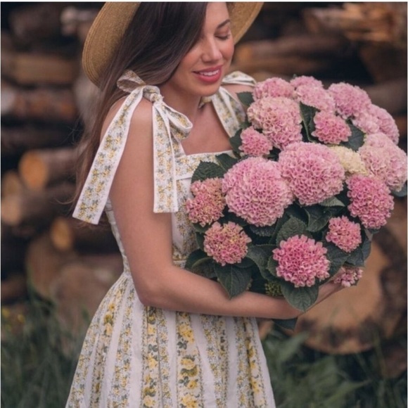 Gal Meets Glam Arina - Picture 2 of 7